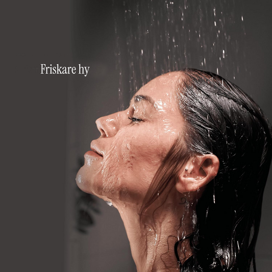 Duschfilter ShowerPro Diamond Årspaket